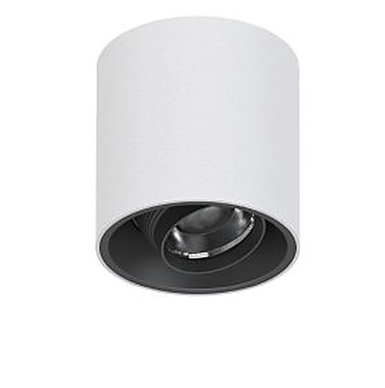 Cylindrical surface downlight